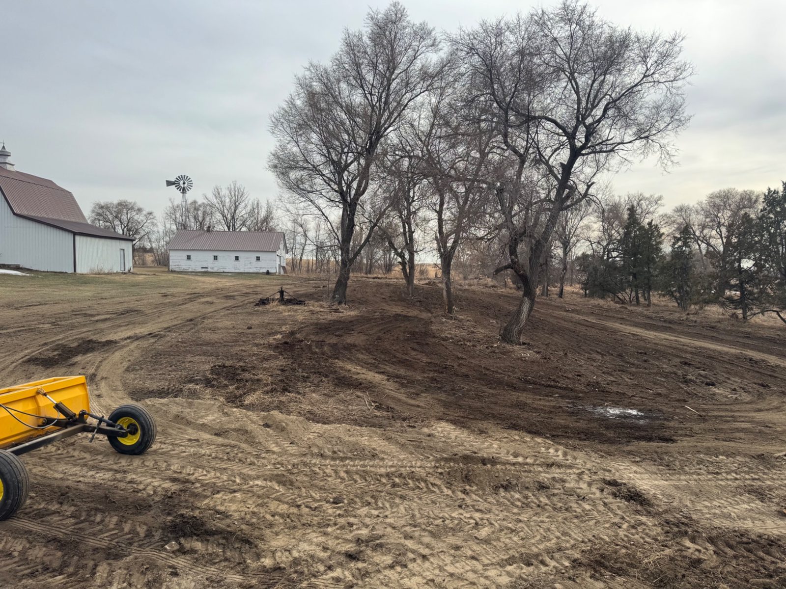 Tree row clearing windbreak renovation North Dakota